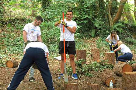 Corporate Work Party at Hairpin Woodlands