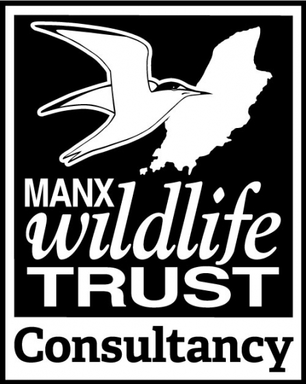 MWT consultancy logo