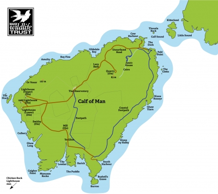 Calf map