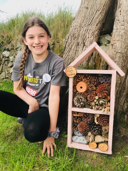 bug hotel