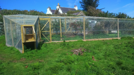 A Heligoland Trap