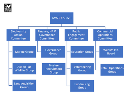 MWT governance structure