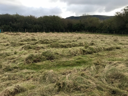 Close Sartfield grass cutting 