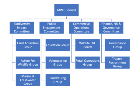MWT Governance structure