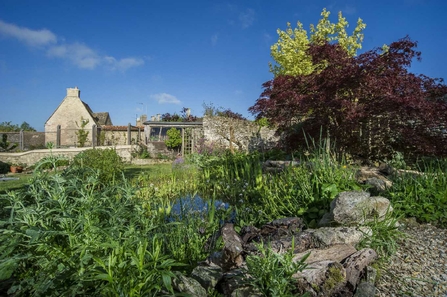 wildlife garden