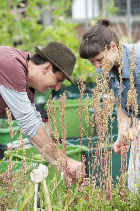 Wildlife Gardening 