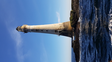 Chicken Rock lighthouse