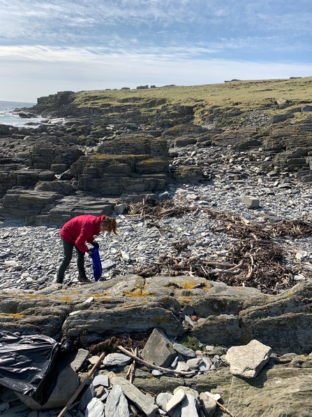 Litter Picking at South Harbour