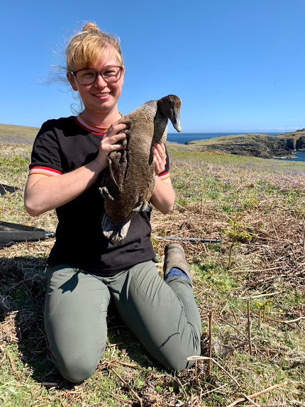 Mollie holding a female eider