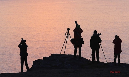 Photographers at sunset - Calf