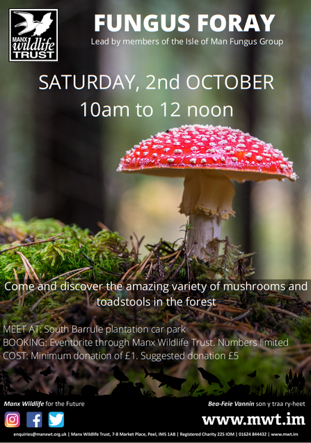 mushroom poster