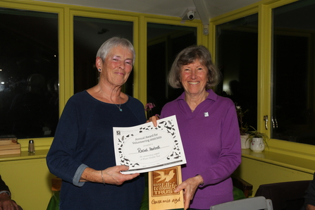  Volunteer award