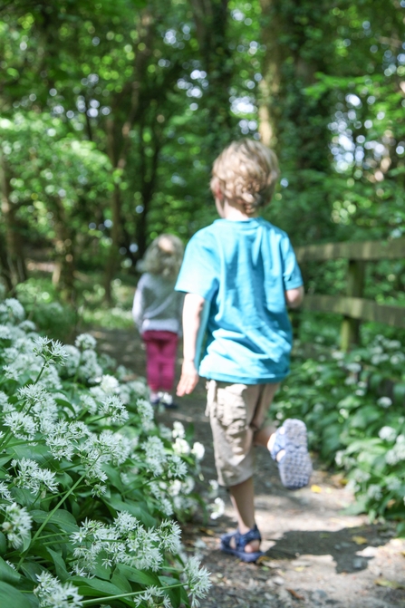 Children in ramsey forest