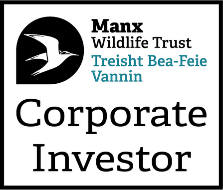 MWT Corporate Investor Logo