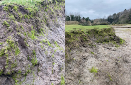 Poyll Dooey salt marsh