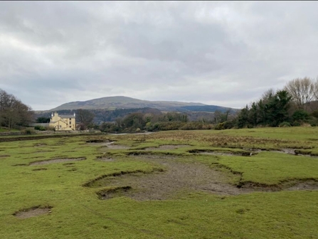 Poyll Dooey Salt marsh