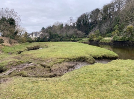 Poyll Dooey Salt marsh