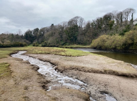 Poyll Dooey Salt marsh