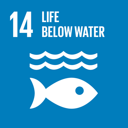 UN Sustainable Development Goals Life below water