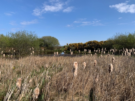 Lough Cranstal