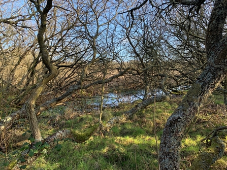 Lough Cranstal