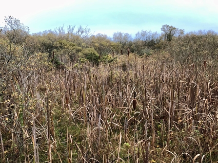 Lough Cranstal