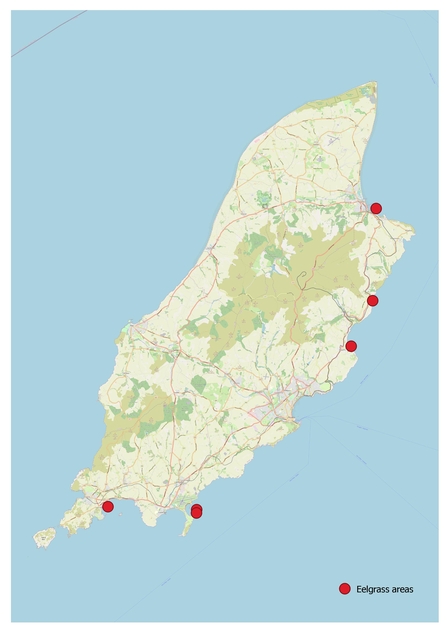 Manx Eelgrass map