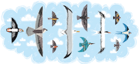 Image is of a selection of illustrated birds in a cloud. 
