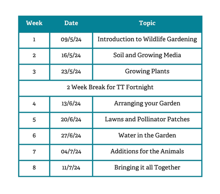 A table describing what will happen each week of the course.