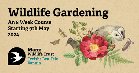 Image is a flyer for the Wildlife Gardening Course.