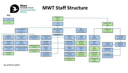 Staff Structure Chart