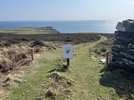 Calf breeding bird track signage