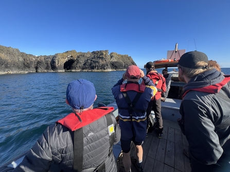 Counting the Calf's seabirds from the boat 