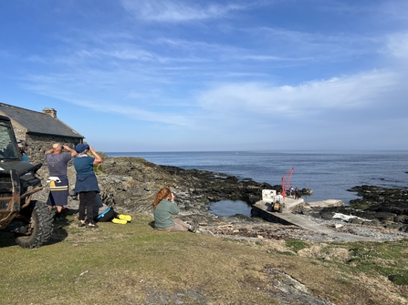 Calf team watching a Basking Shark