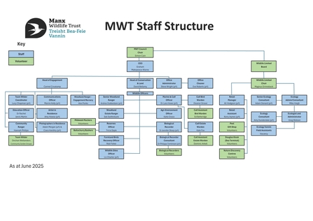 Staff Structure Chart