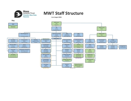 MWT Staff Structure July 2025
