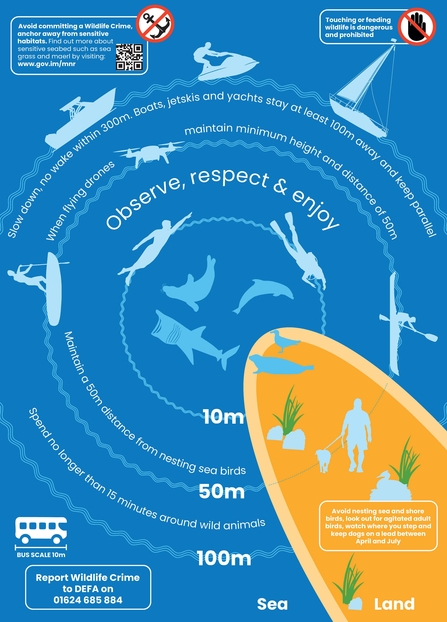 A Users Guide to Manx Marine Wildlife Guide Page 3
