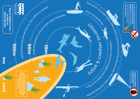 A Users Guide to Manx Marine Wildlife Guide Page 3