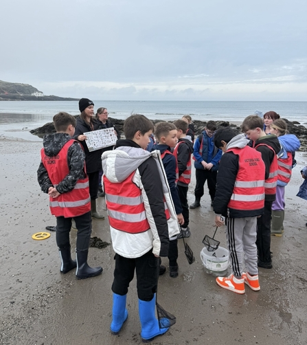 Rock Pooling School Session 