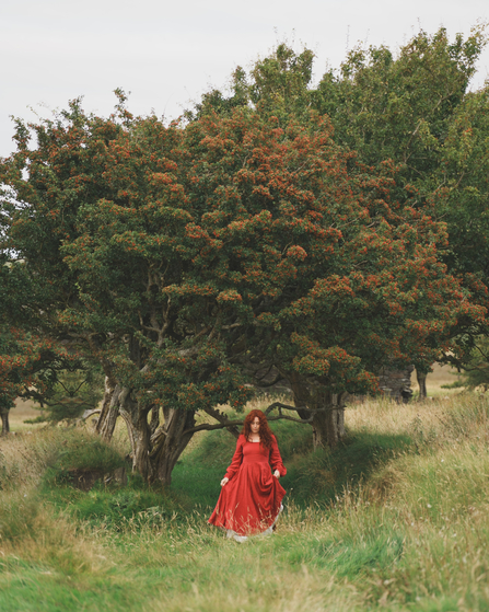 A woman in a red dress stood beneath hawthorn trees full of berries