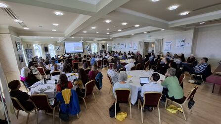 IIEM25 showing a packed conference room