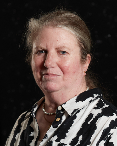 Karen Ratzeburg Website