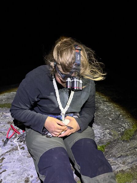 Volunteer ringing a Manx Shearwater