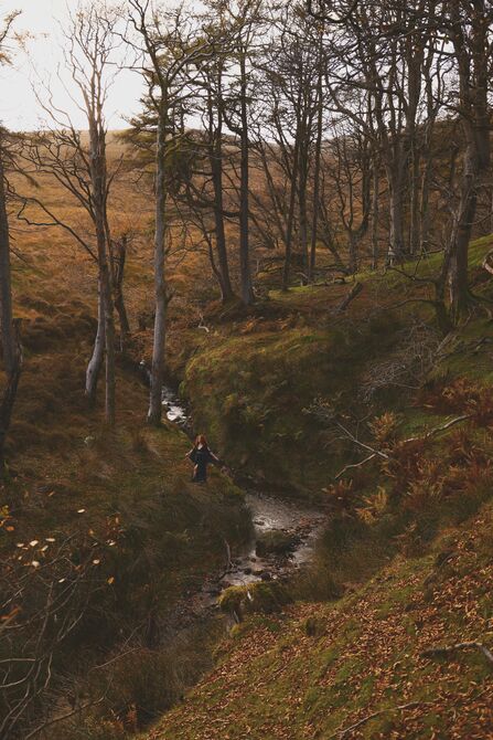 A woman wearing a black dress stood by a stream in the autumn trees