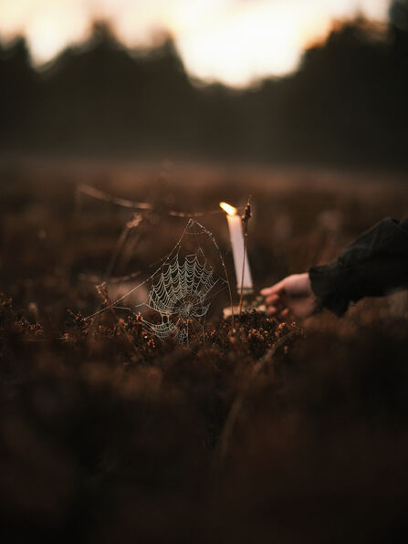A dew covered spider web in the heather lit by candle light