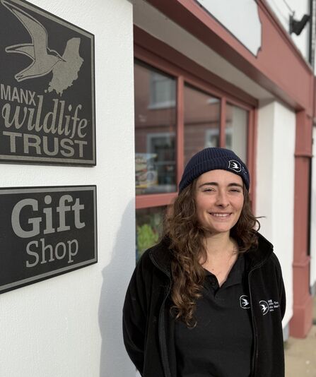 Tiphaine Claveau Website 