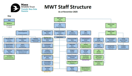 Staff Structure Chart - November 2025