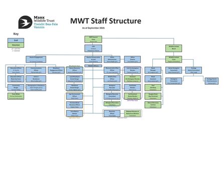 MWT Staff Structure - November 2025