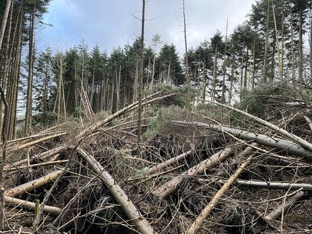 Storm Darragh at Glion Darragh