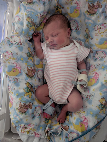 A new born baby in a hospital cot.